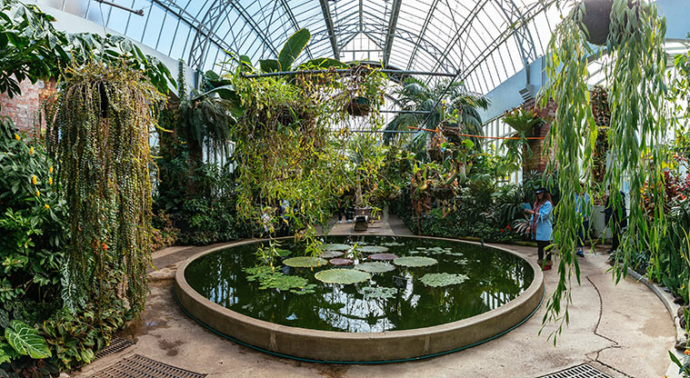 Pukekawa Gardens and Museum Path - Inside the Winter Gardens.