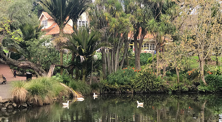 Pukekawa Gardens and Museum Path - Views across the duck pond.