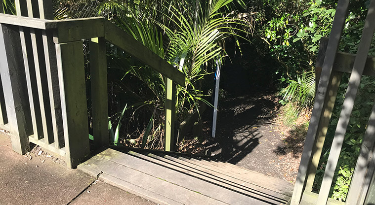 Pukekawa Trail Lovers Path - Entry to path from Domain Drive.