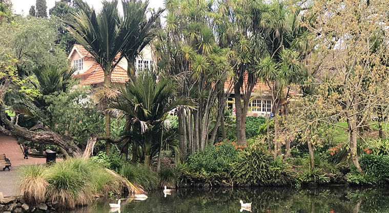 Pukekawa Trail Lovers Path - Path alongside duck pond.