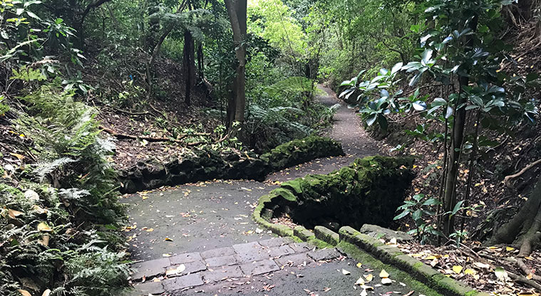 Pukekawa Trail Lovers Path - Small stone bridge.