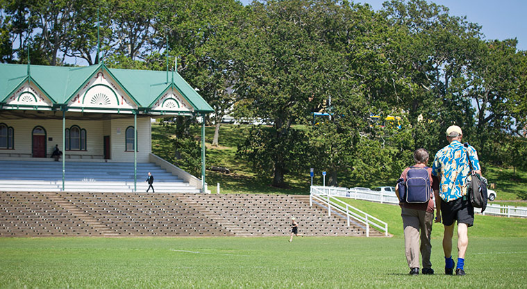 Pukekawa Trail Lovers Path - Domain grandstand.
