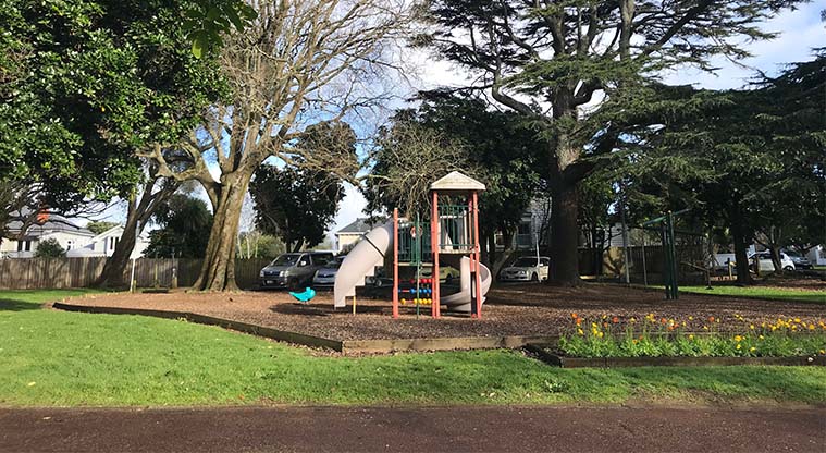 Pukekawa Urban Ngahere Path – Cedar and nettle trees in Outhwaite Park.