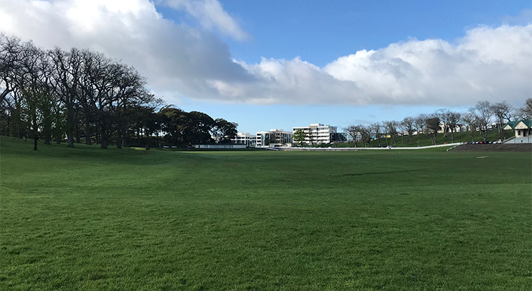 Pukekawa Urban Ngahere Path – Domain sports field.
