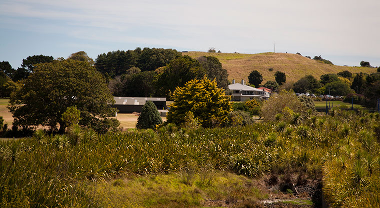 Puketāpapa Path - View of Puketāpapa.