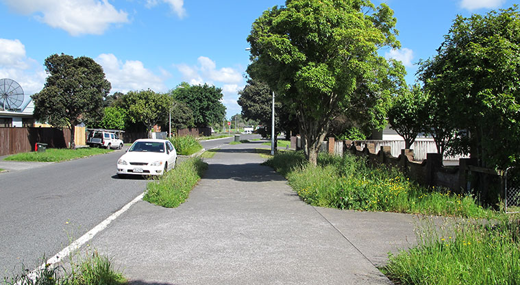Puketāpapa Path - Shared path on Memorial Avenue.