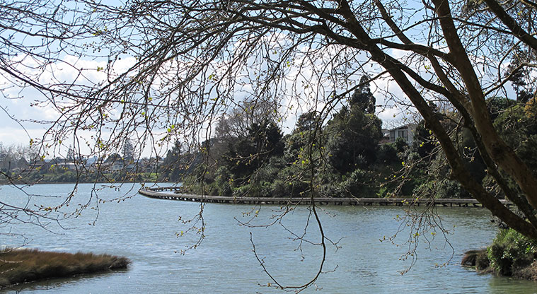 Pāhurehure Esplanade Path – Follow the boardwalk around the coast.
