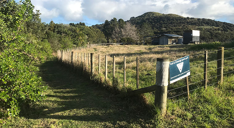 Rangihoua Wetland Path - Head up the grass path next to the Historical Village, past the Riding Club grounds.