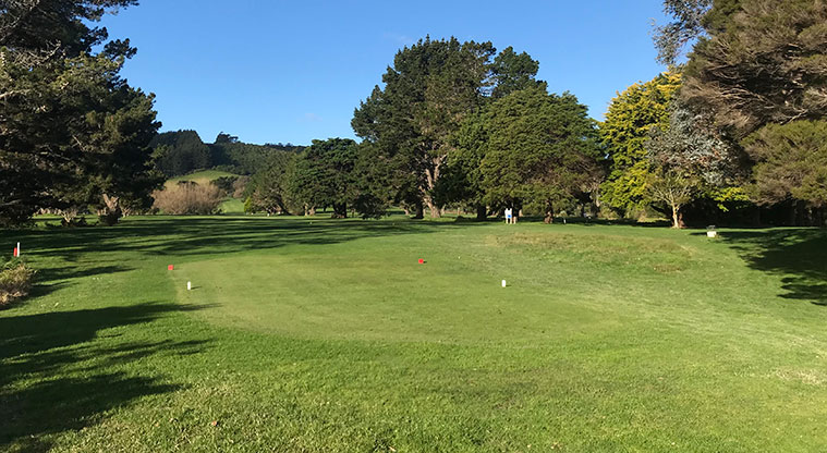 Rangihoua Wetland Path - The path skirts the edge of the Waiheke Golf Course, please stay off the greens.