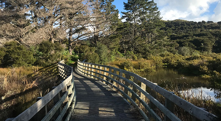 Rangihoua Wetland Path