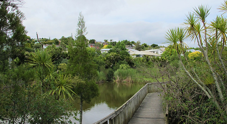Rewi Alley Reserve Path - Bridge across stormwater pond.