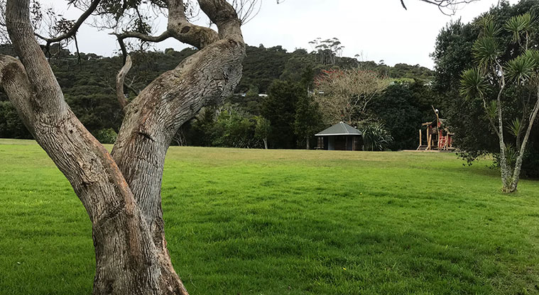Rocky Bay Beachfront Path - The reserve has a large playing field.