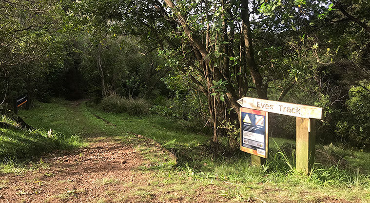 Rocky Bay Roads Path - If you have plenty of time, could consider heading down into Whakanewha Regional Park via Eve’s Track.