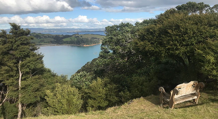 Rocky Bay Roads Path - Crosby Reserve is an historic site with great views. The indentations in the ground are old kumara pits.