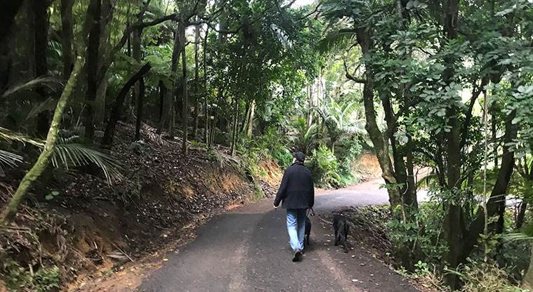 Rocky Bay Roads Path - Some of the road back down to Omiha is through beautiful forest.