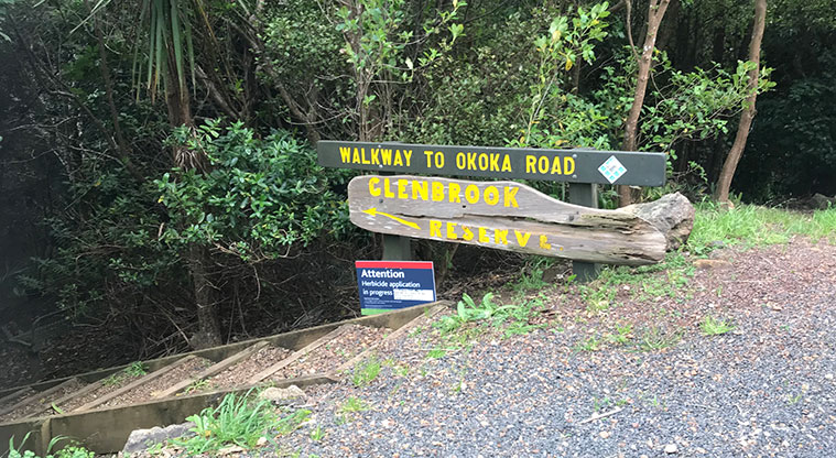 Rocky Bay Roads Path - A possible detour is Glenbrook Reserve, a rugged but stunning forest. The trail climbs up to a rocky outcrop with great views.