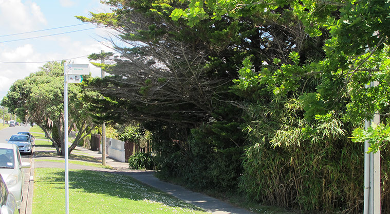 Rothesay to Browns Bay Path - Access to Browns Bay off Beechwood Road.