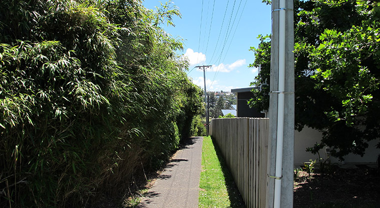 Rothesay to Browns Bay Path - Follow path down to Browns Bay from Beechwood Road.