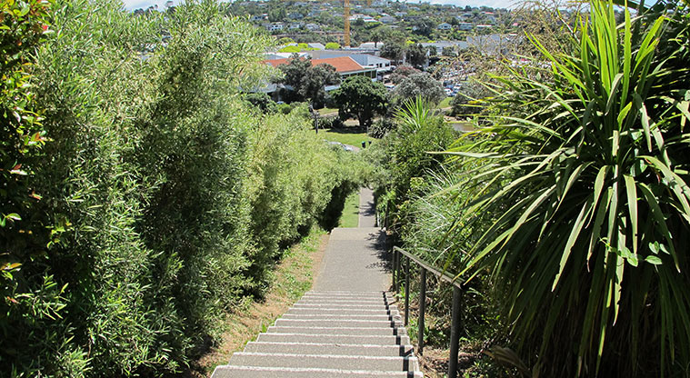 Rothesay to Browns Bay Path - There are a few steps down (and back up).