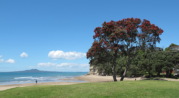 Rothesay to Browns Bay Path - Great photo opportunities from Browns Bay beach.