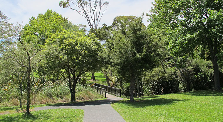 Rānui Domain Path - Path heads over small bridge.