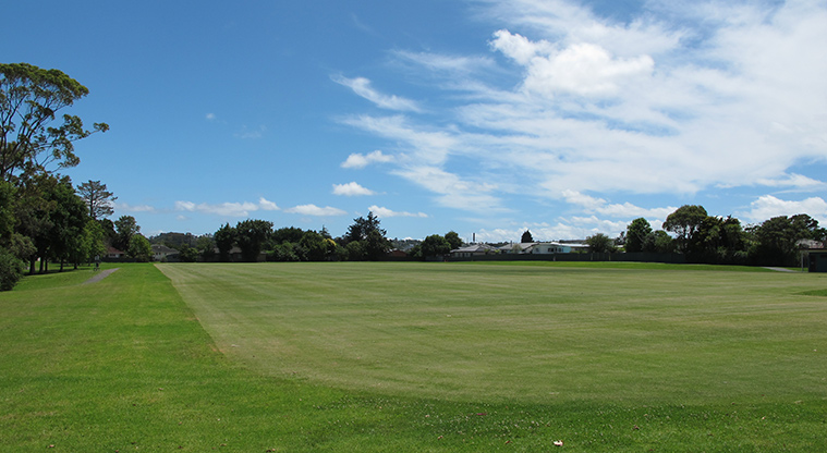 Rānui Domain Path - Sports fields.