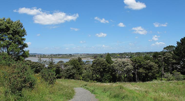 Sanders Dog Lover's Path - Great views over the upper Waitematā Harbour.