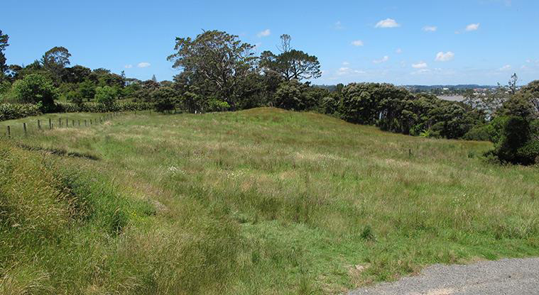 Sanders Dog Lover's Path - Plenty of space for off-leash dog exercise.