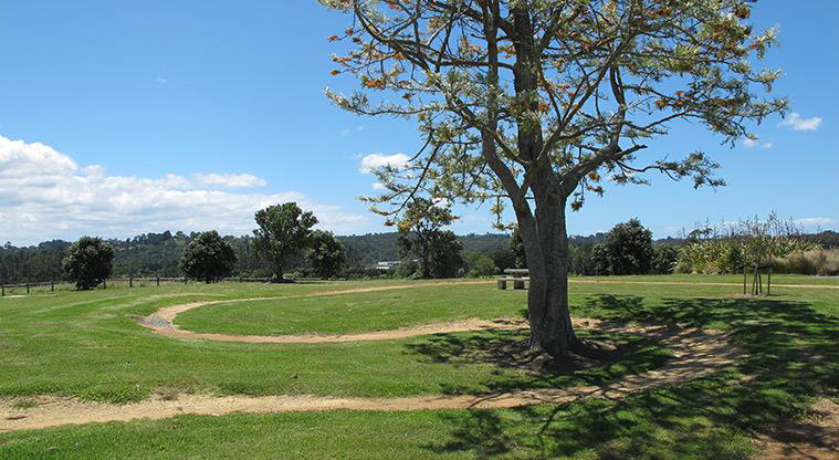 Sanders Reserve Beginners Path - Wind around a tree.