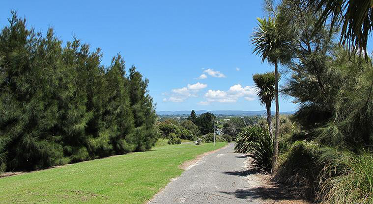 Sanders Reserve Recreation Path - First part of the path is a nice downhill.
