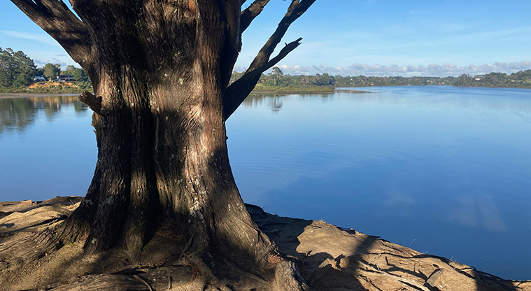 Sanders Reserve Recreation Path – At the headland, walk out to the point to get amazing views.