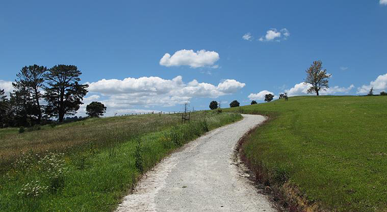 Sanders Reserve Recreation Path - There is a short hill section.