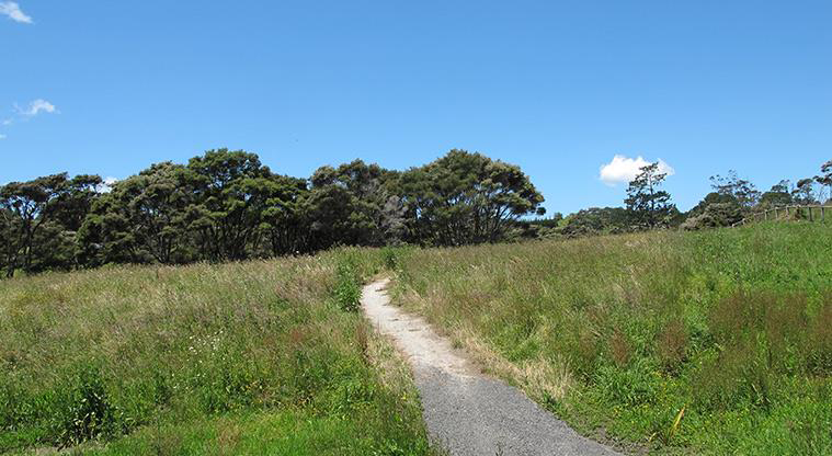 Sanders Reserve Recreation Path - A slight slope back to the car park.