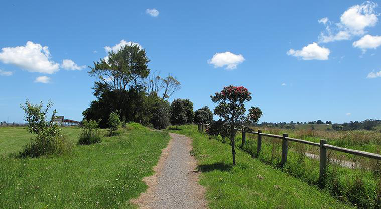 Sanders Reserve Recreation Path – Connecting back to the car park.