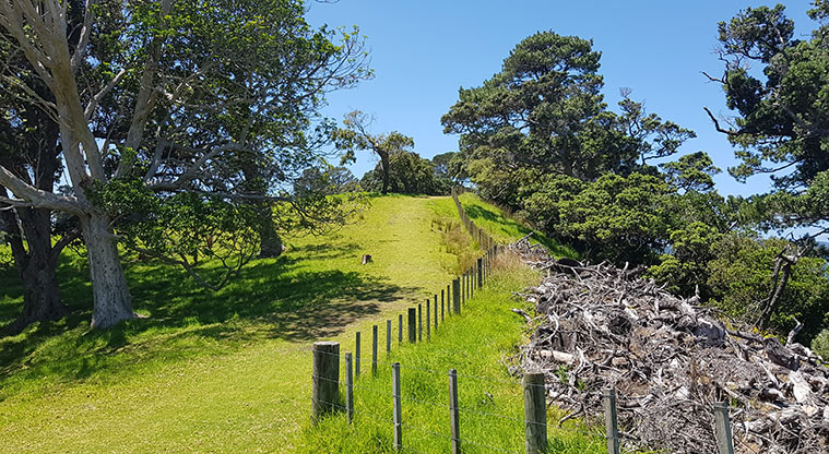 Scandretts Mullet Point Path - Follow the grass track up along the southern cliffline.
