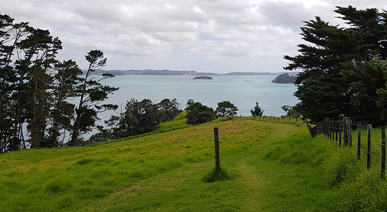 Scandretts Mullet Point Path - Typical section of the path.