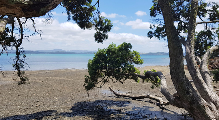 Scandretts Mullet Point Path - Path ends at Scandretts Bay.