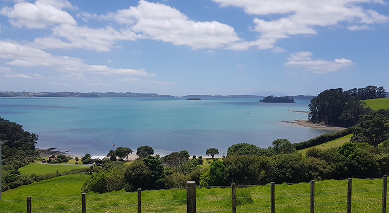 Scandrett to Martins Bay - Spectacular views from the path start.