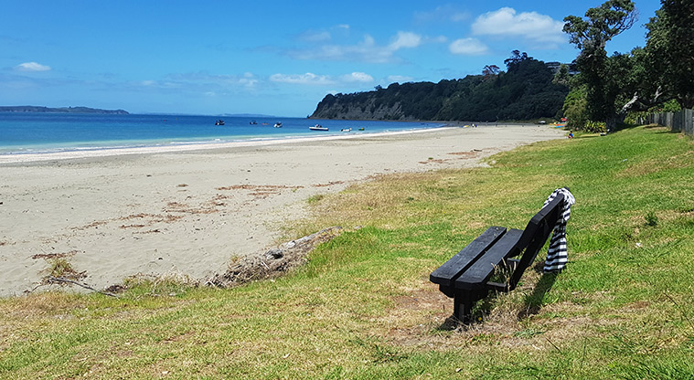 Scandrett to Martins Bay - Seating along the way.