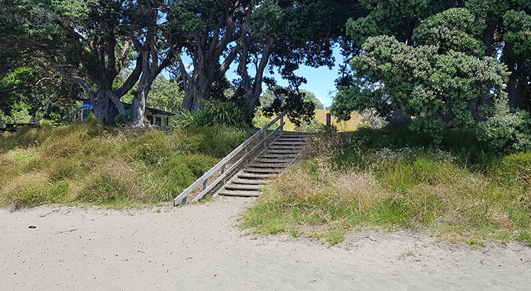 Scandrett to Martins Bay - Head up the stairs to Martins Bay Reserve.