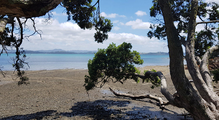 Scandretts Bay Path - Start at the car park by Scandretts Bay.