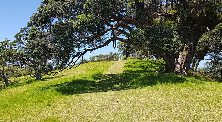 Scandretts Bay Path - Grass track along the southern cliffline.