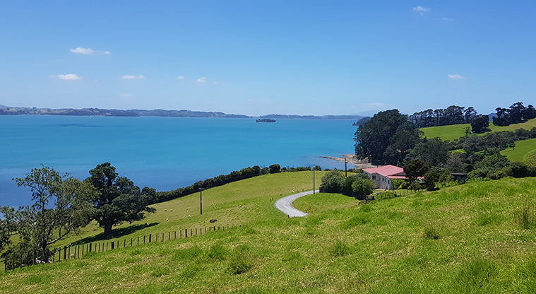 Scandretts Bay Loop Track
