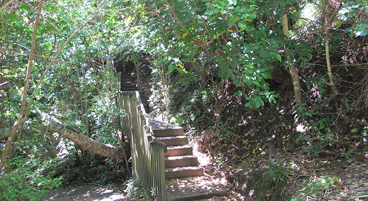 Shakespear Heritage Trail- Short section of steps.