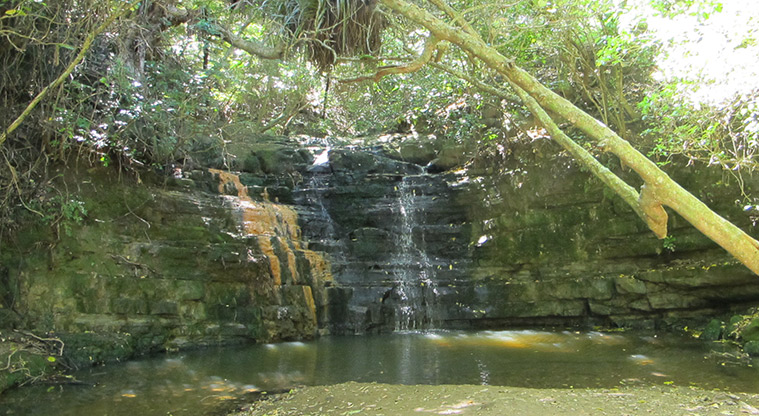 Shakespear Heritage Trail - Waterfall in Waterfall Gully.
