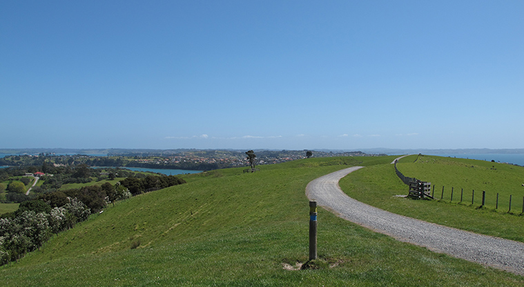 Shakespear Heritage Trail - Well formed section of gravel path with great views of the Hauraki Gulf.