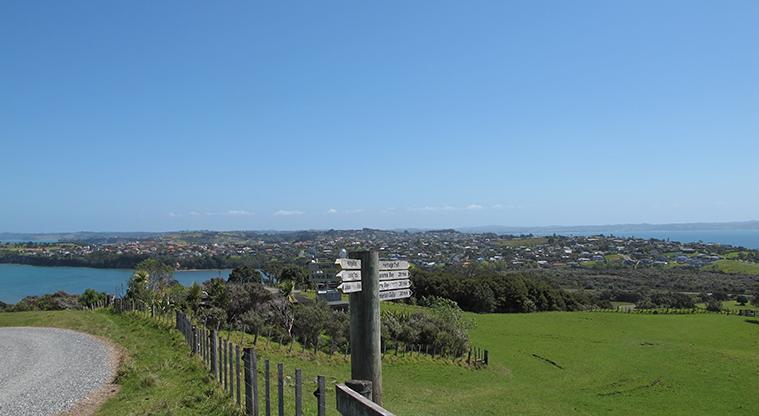 Shakespear Heritage Trail - Path changes back to paddock.