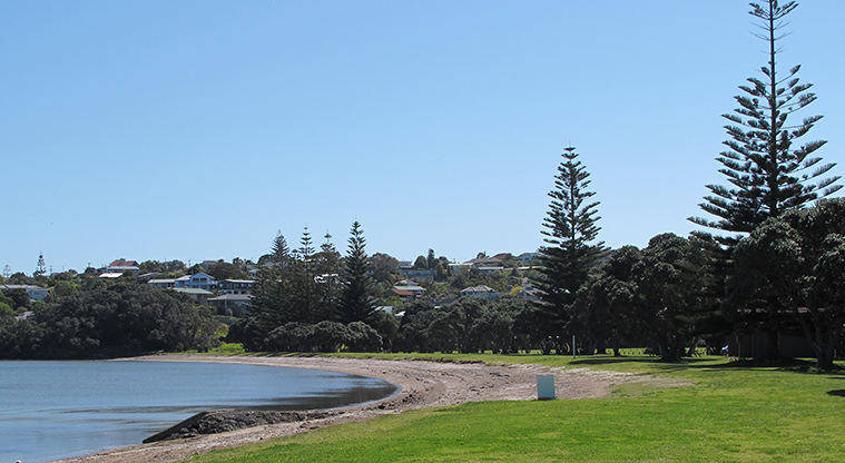 Shakespear Heritage Trail - Path ends back at Okoromai Bay where you can swim or picnic (tide dependant).