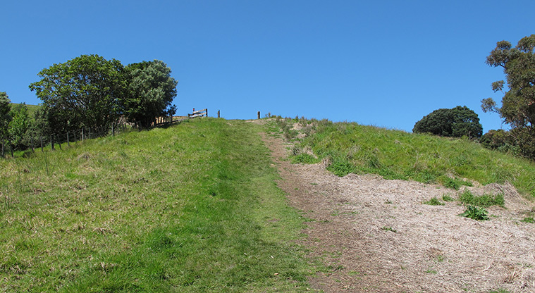Shakespear Lookout Path - Steep section of the path.