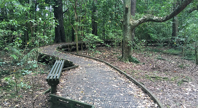 Smiths Bush Path - Plenty of seating along the way.